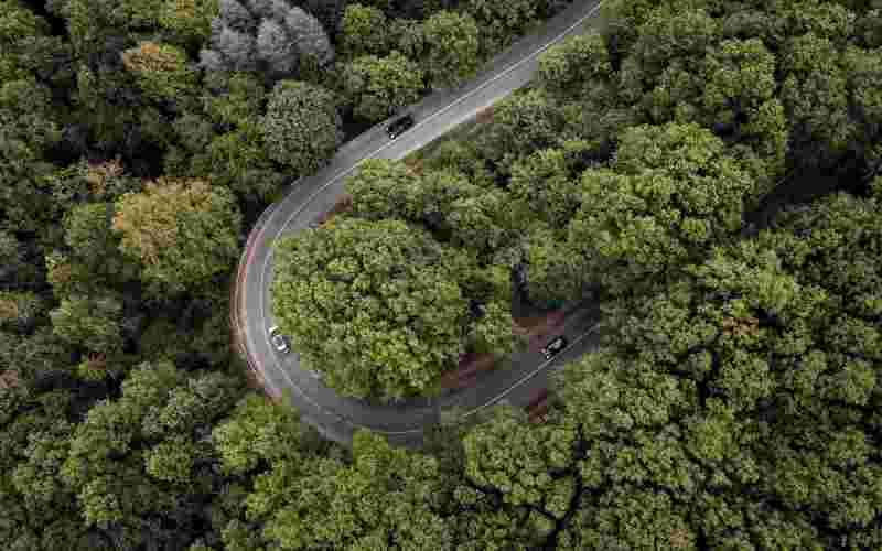 Luftaufnahme von grünen Bäumen und Straße während des Tages – Nachhaltigkeit in der Automobilbranche.