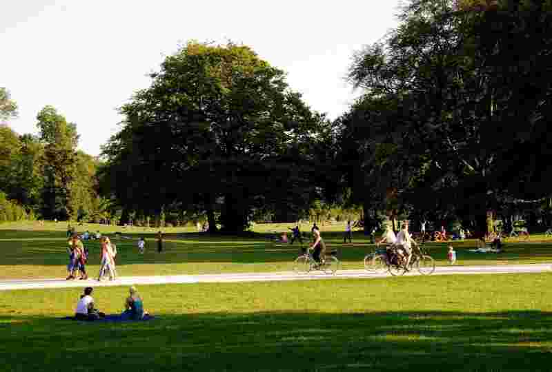 Englischer Garten München – Informiere Dich über die Studiendauer an der Campus M University: Start ins Studium