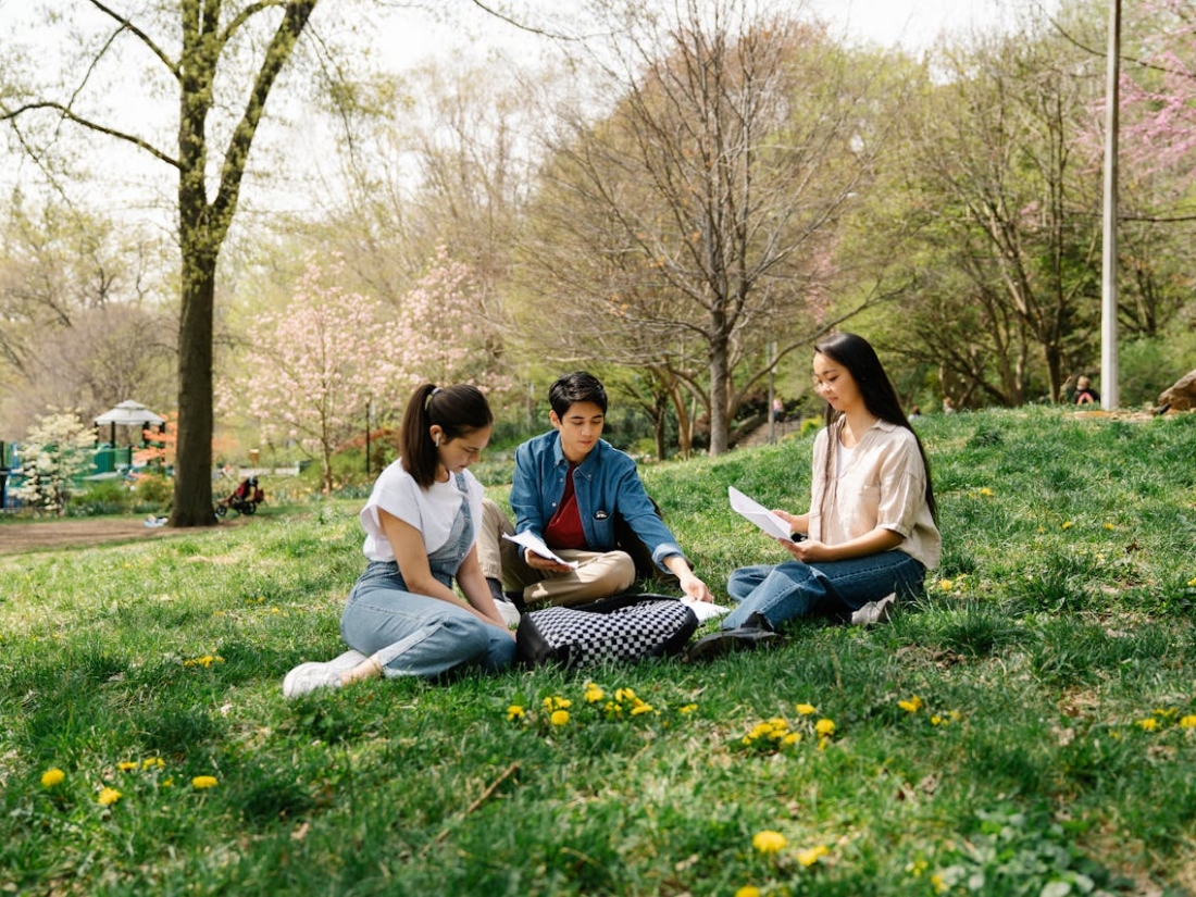 Drei Studierende sitzen auf der Wiese mit Lernmaterial.