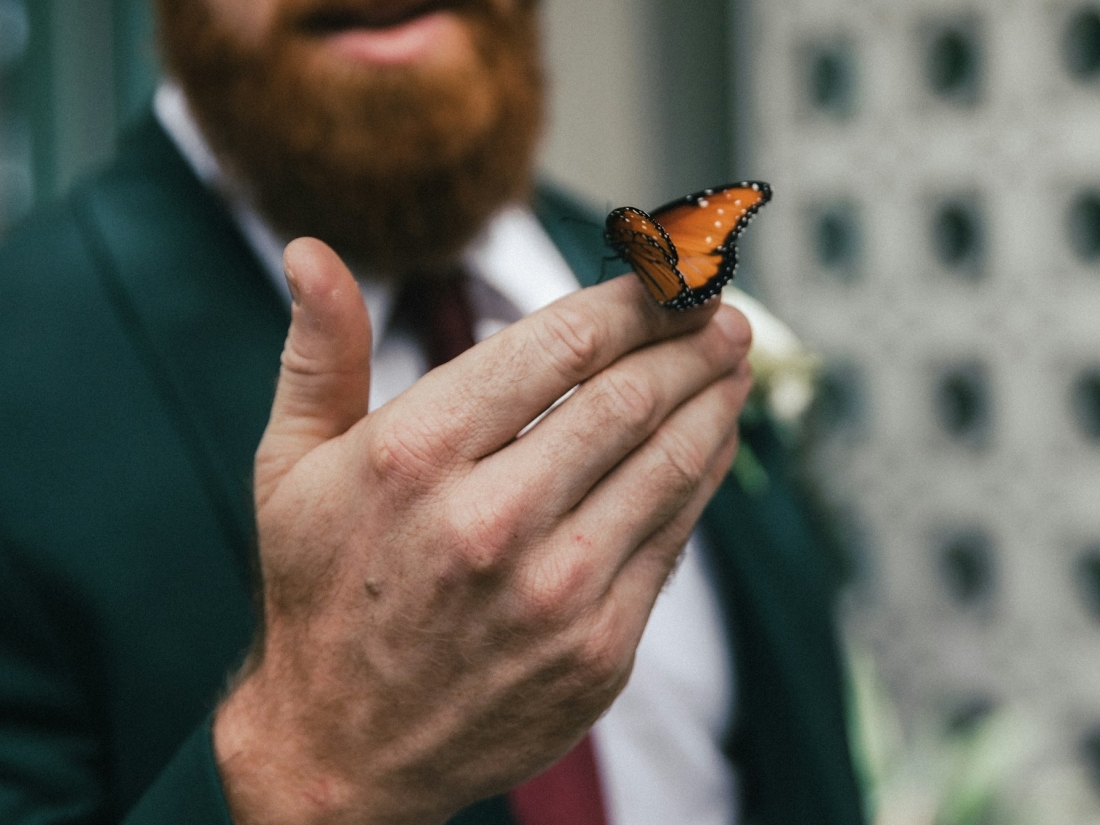 Mann hält Schmetterling in der Hand – Symbol für Empathie, Achtsamkeit und Psychologie Studium.