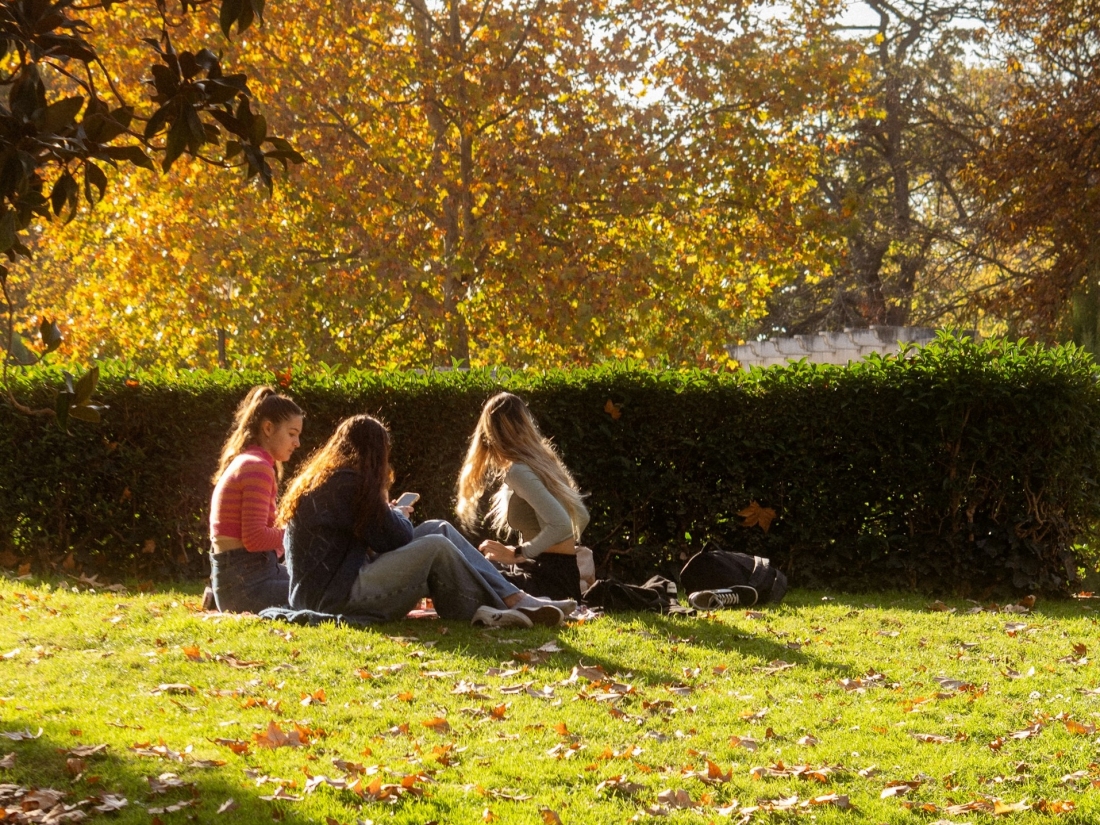Drei Studentinnen sitzen im Park im Herbstlaub – Symbol für Studentenleben und Freizeit beim Psychologie Studium in Nürnberg.