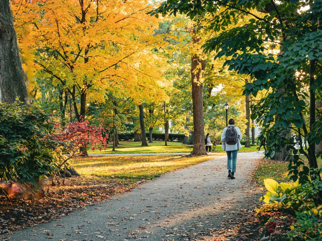 Person mit Rucksack geht auf einem Weg durch einen Park mit Herbstlaub